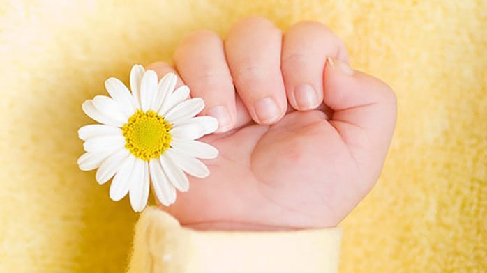 5 Startup Assets That Will Get You Acquired in 2016