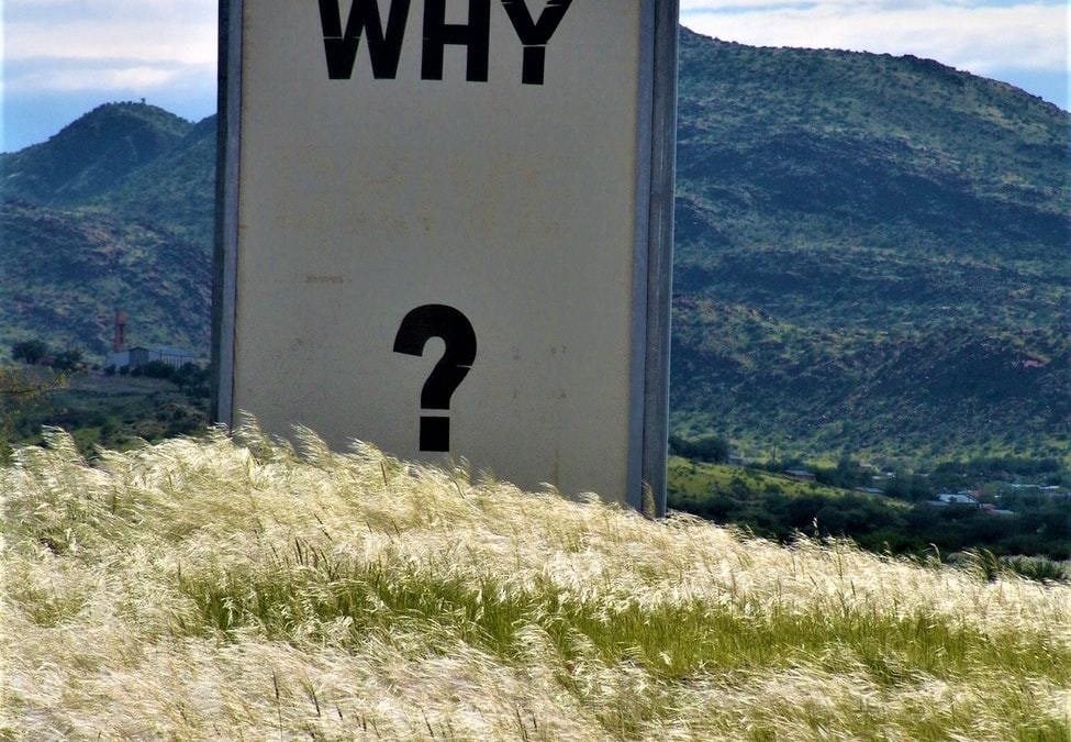 How To Create Evergreen Content That Earns Value Indefinitely